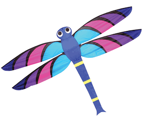 Giant dragonfly kite