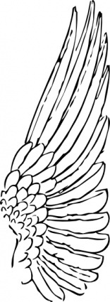 wing-clip-art_t.jpg