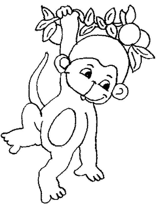 Amazing Monkey Color Page Animal Coloring Pages Plate Sheet High ...
