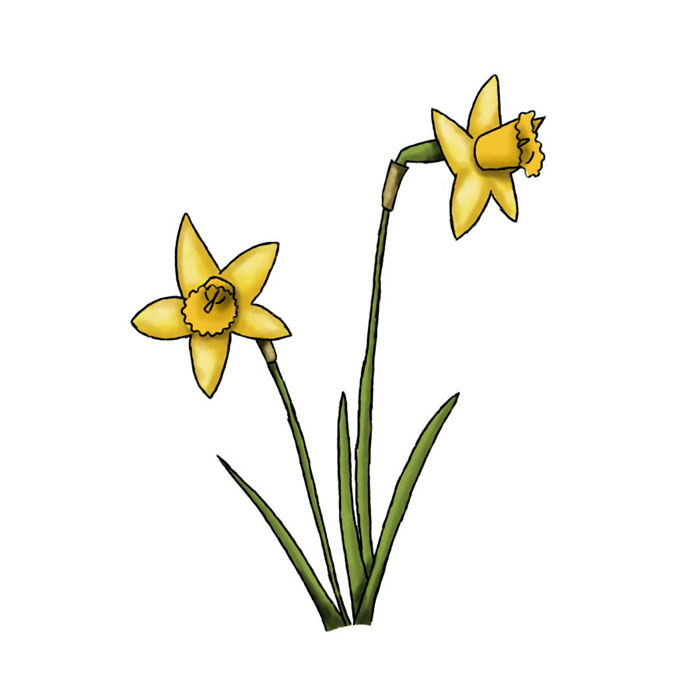 Illustrations of the environment - Resources