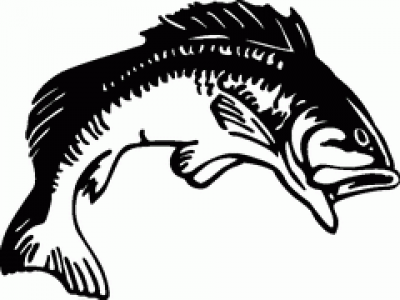 Bass Fish Clip Art