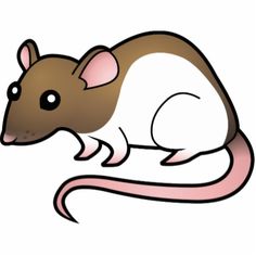 Clip Art Rat - Tumundografico