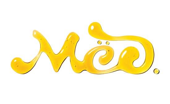 Honey headhunting agency - Logo Graphic Design