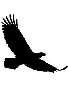 1000+ images about eagles | Eagle wallpaper, The ...