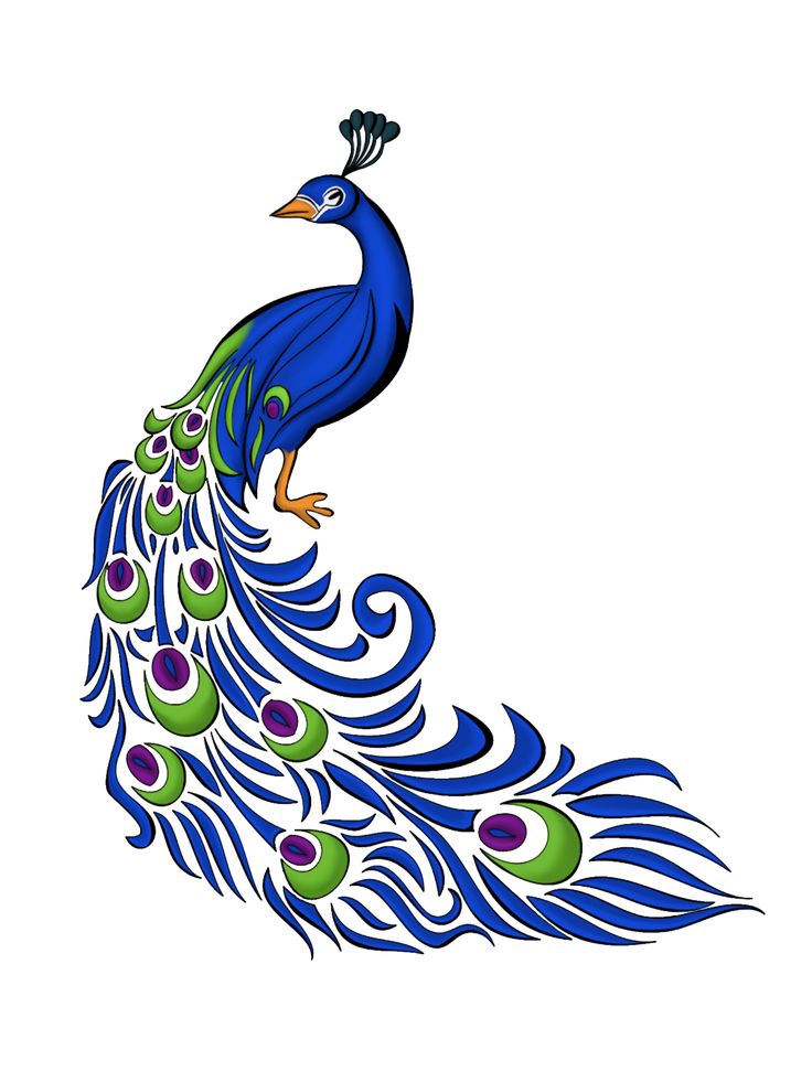 Peacock Drawing | Peacock Art ...
