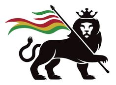 Rasta lion, Lion and Amor