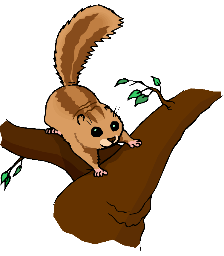 Free Chipmunk Clipart