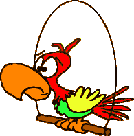 Parrots animated GIFs cliparts animations images graphics