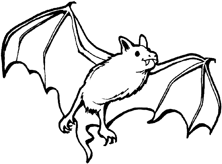Bat Color Pages - AZ Coloring Pages