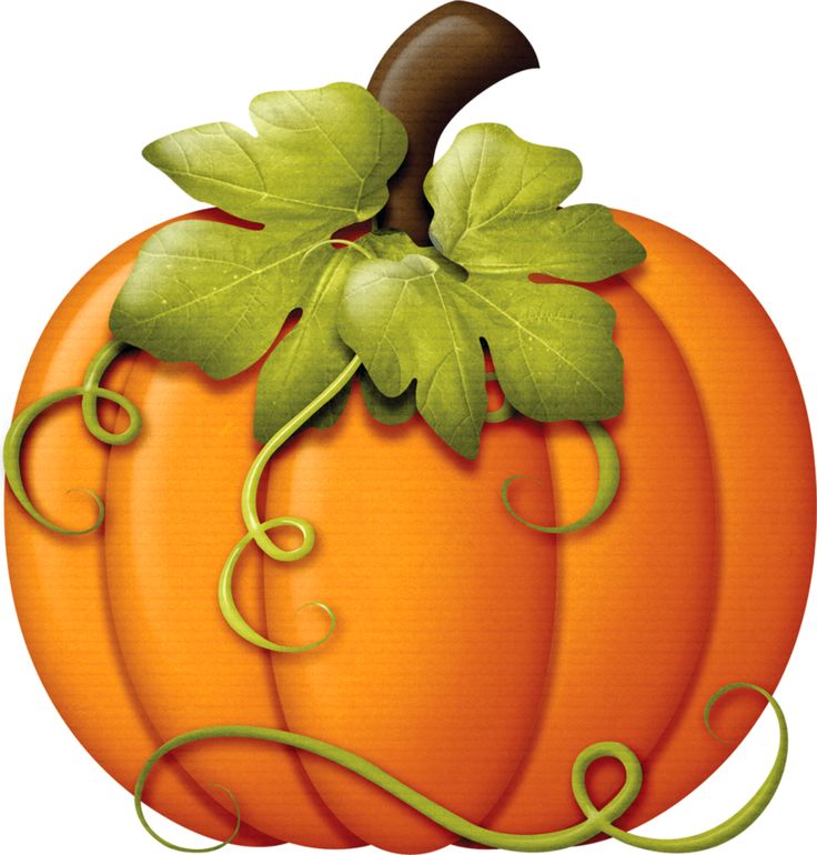Pumpkin Vine Clipart