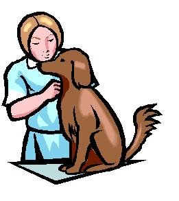 Cartoon Vet Nurse