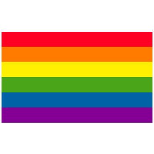 Amazon.com : Gay Rainbow Sisters Gay Pride Flag Rainbow Flag ...