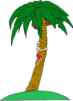 Palm Tree Clipart - Catch the Breeze!