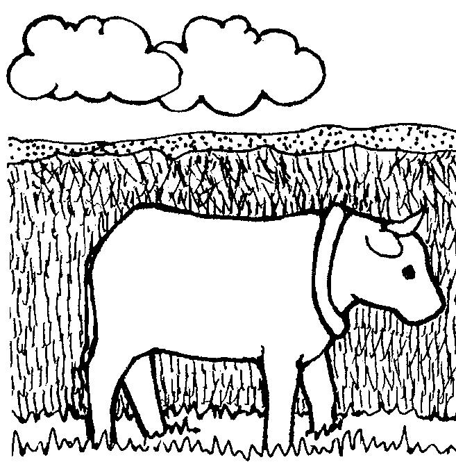 Ox | Jenny Smith