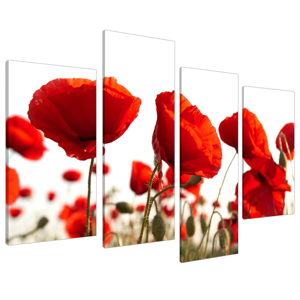 Red Poppy Pictures: Canvas/ Giclee Prints