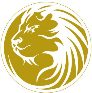 idrisvsportsgear - design