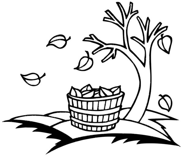 Fall Crafts for Kids