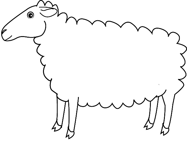 Coloring sheep