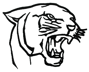 Panther Football