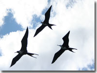 2009 Letters to Friends and Family of Galapagos Family Vacations