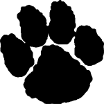 Panther Stickers | Panther Decals - Car Stickers