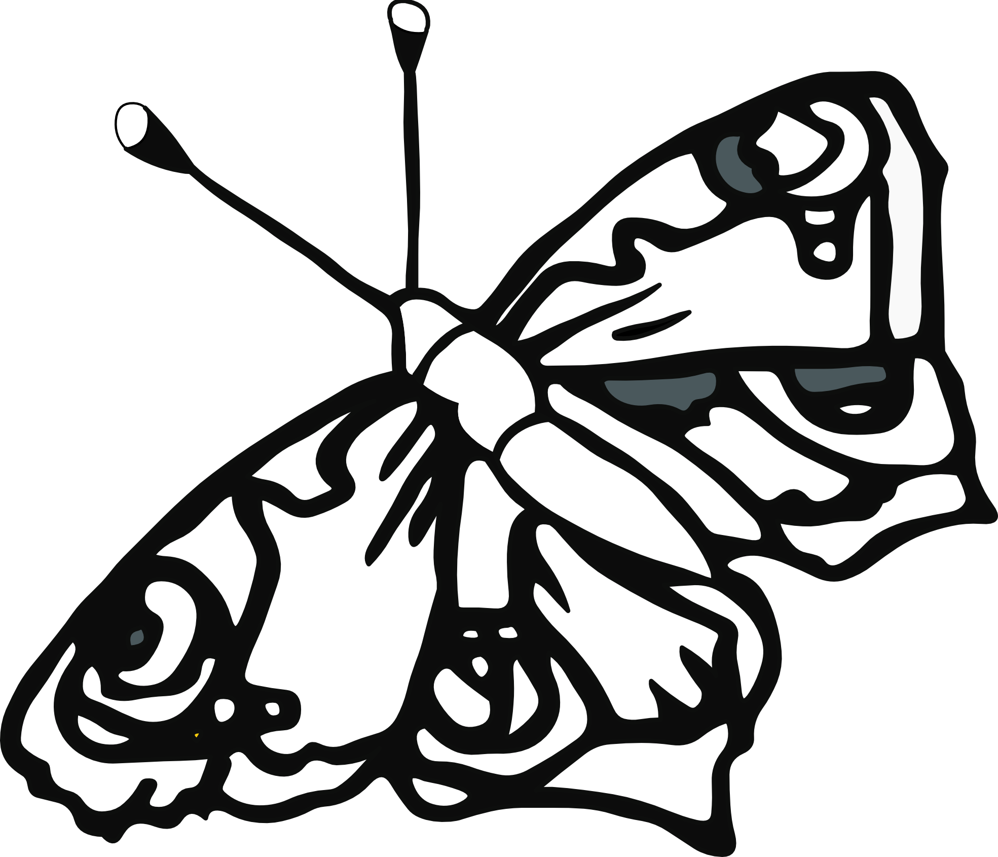 Black And White Drawings Of Butterflies - ClipArt Best