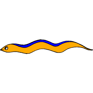 Eel Clipart