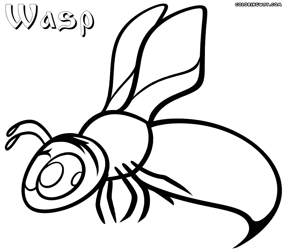 Wasp coloring pages | Coloring pages to download and print
