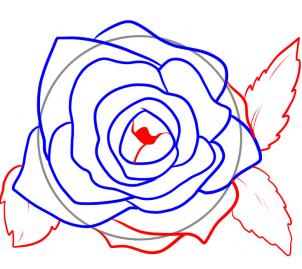 Draw Rose Petals, Step by Step, Flowers, Pop Culture, FREE Online ...