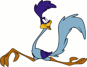Wile E. Coyote and The Road Runner
