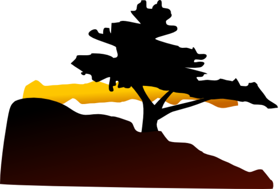 Cedar Tree Vector Clipart - Free to use Clip Art Resource