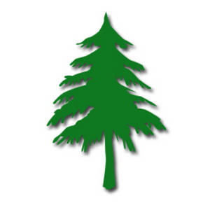 Pine tree clipart line art