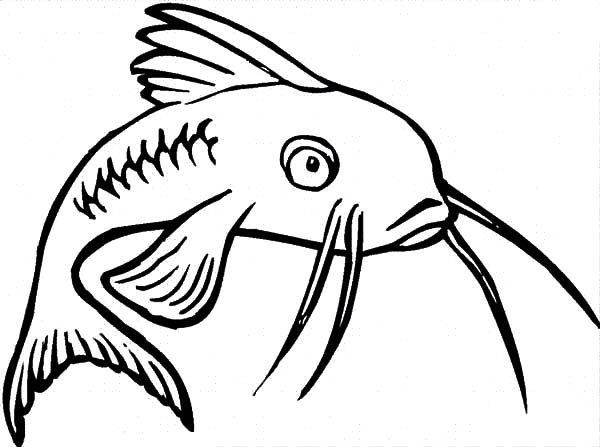Find the Best Coloring Pages Resources Here! - Part 41
