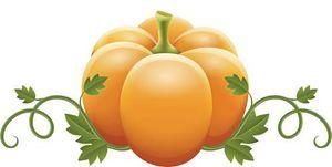 36+ Gourd Clipart