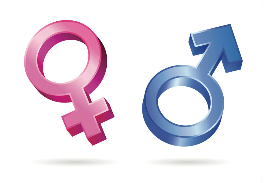 Am I Having a Boy or Girl? — Ultrasound & Sex Prediction