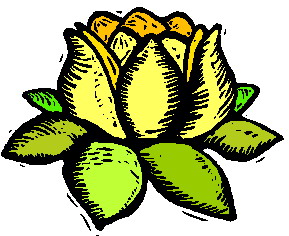 â?· Water Lilies: Animated Images, Gifs, Pictures & Animations ...