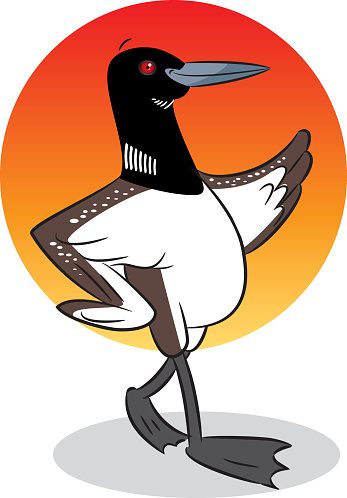 Common Loon Clip Art, Vector Images & Illustrations