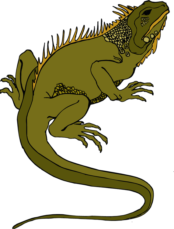 Lizard Clipart