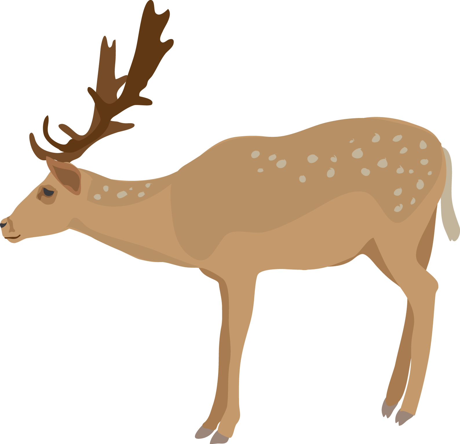 Deer Art Pictures