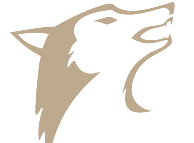 Wolf Logo free 3D Model OBJ 3DS BLEND DAE MTL | CGTrader.com
