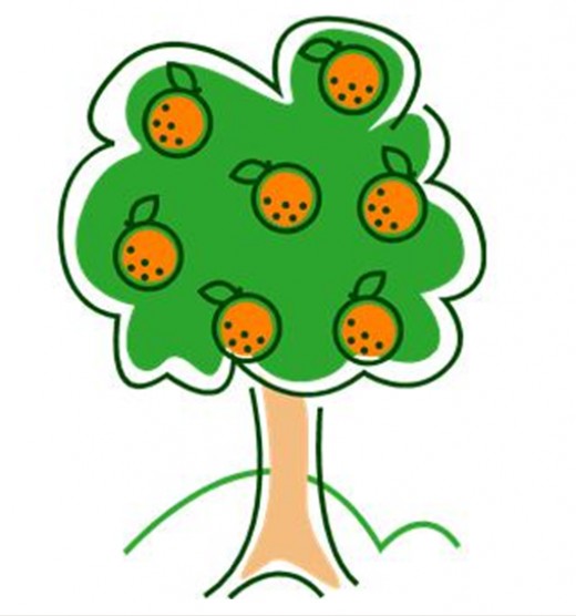 Orange Tree Drawing - Free Clipart Images