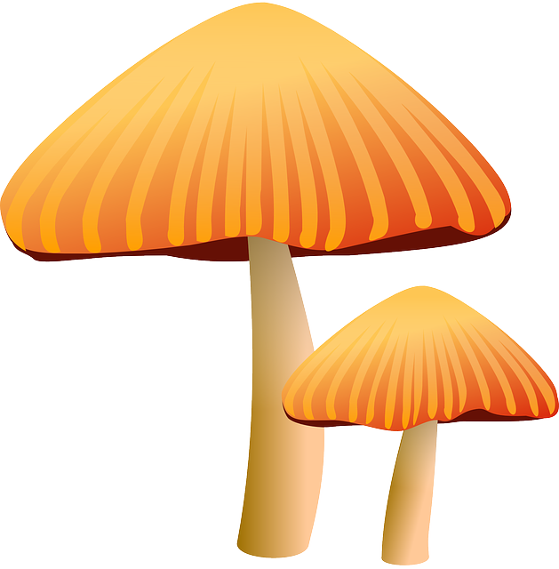 Mushroom Cartoon | Free Download Clip Art | Free Clip Art | on ...