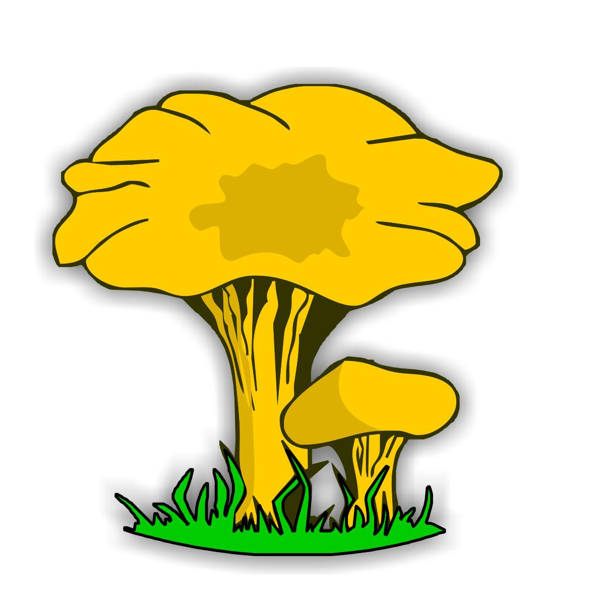 6+ Bacteria And Fungi Clipart