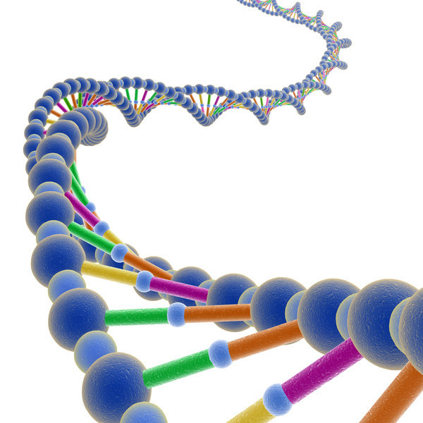 Using DNA to store mankind's knowledge | PinkJooz
