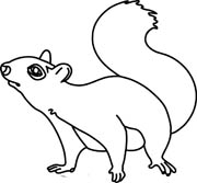 Squirrel Clipart Black And White - Free Clipart Images