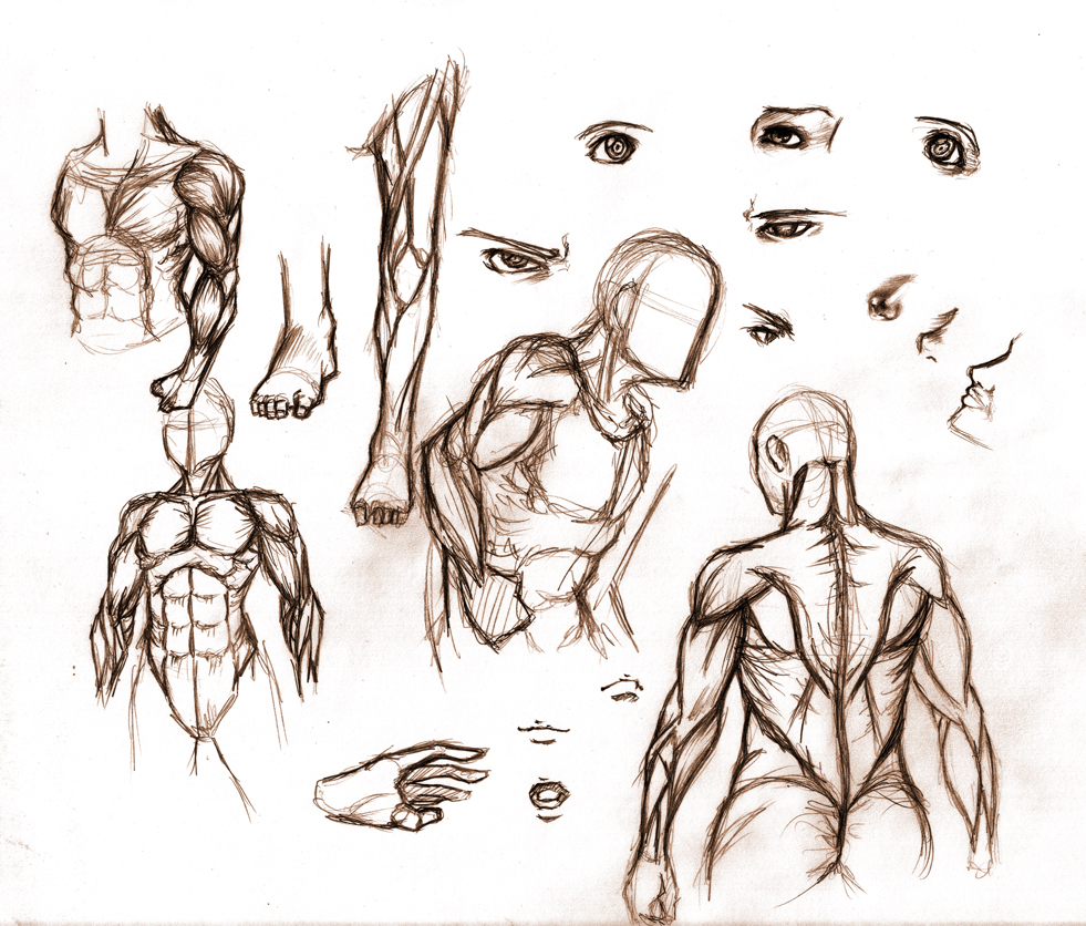 ?[Humanoid Figure/Anthro Creatures]