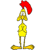 Animals For > Chicken Dance Gif