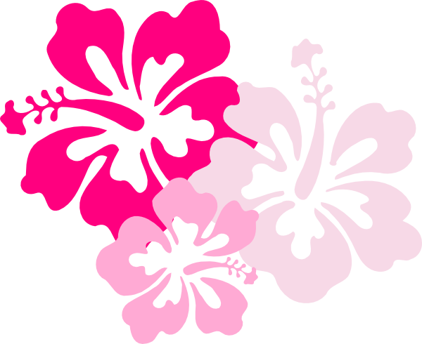Hawaiian Flower Clip Art Borders - Free Clipart Images