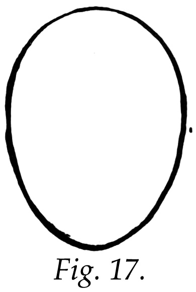 Best Photos of Front View Human Head Template - Human Face Outline ...