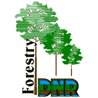 States at arborday.org